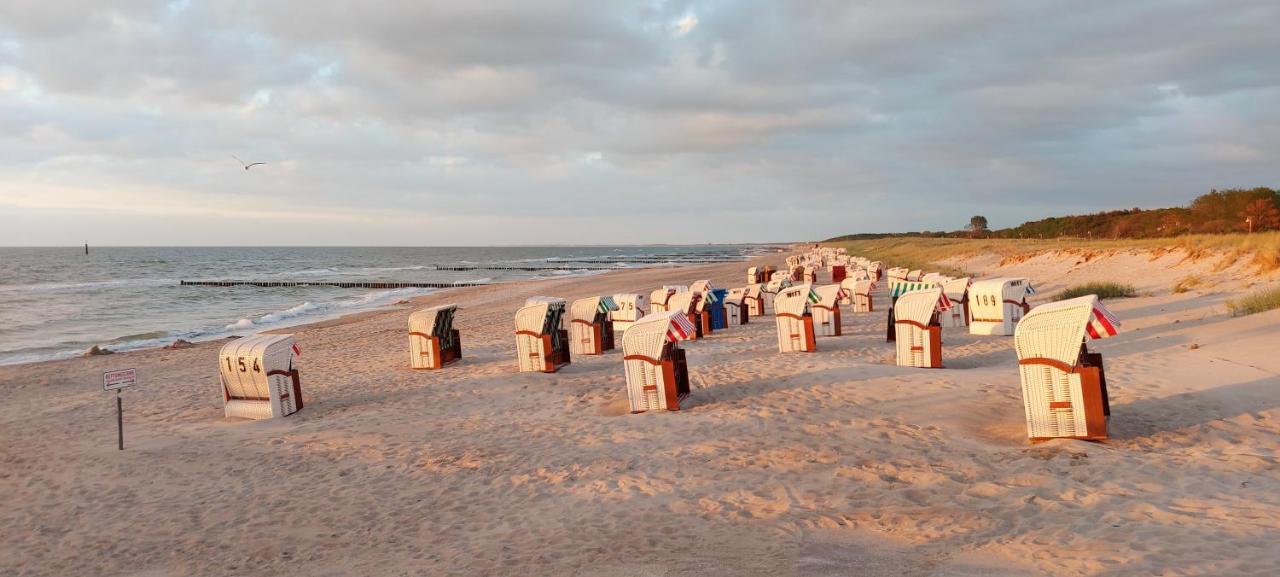 Ostsee Graal-mueritz Kuestenwald *