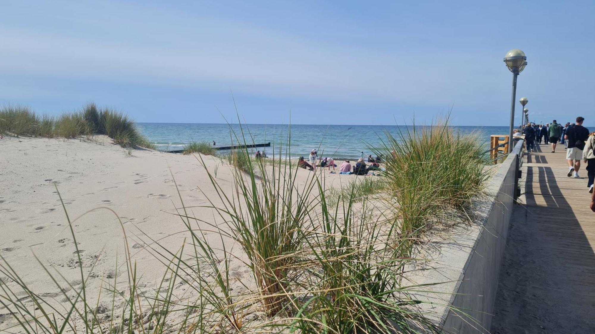 Ostsee Graal-mueritz Kuestenwald *