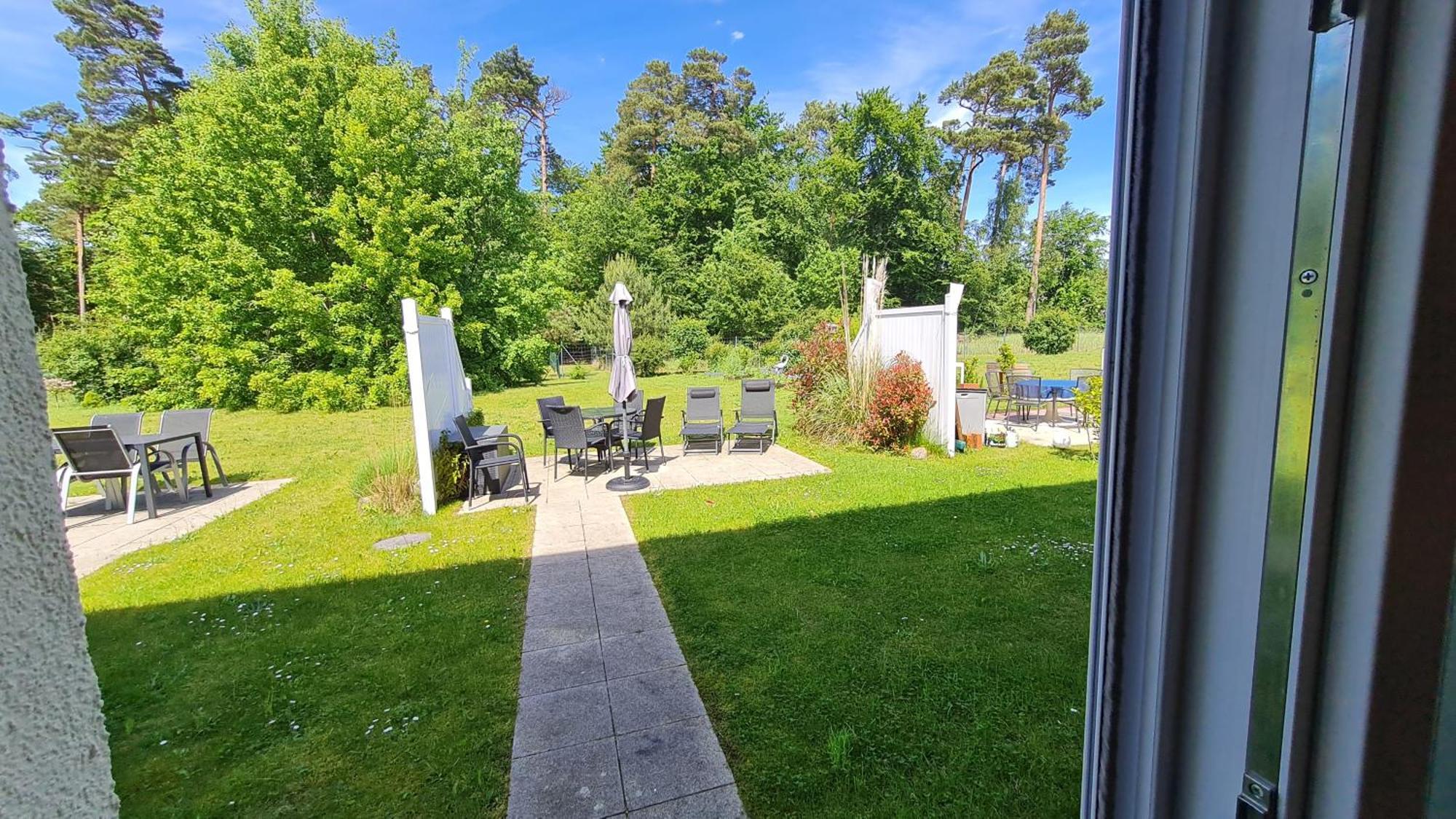 Ostsee Graal-mueritz Kuestenwald
